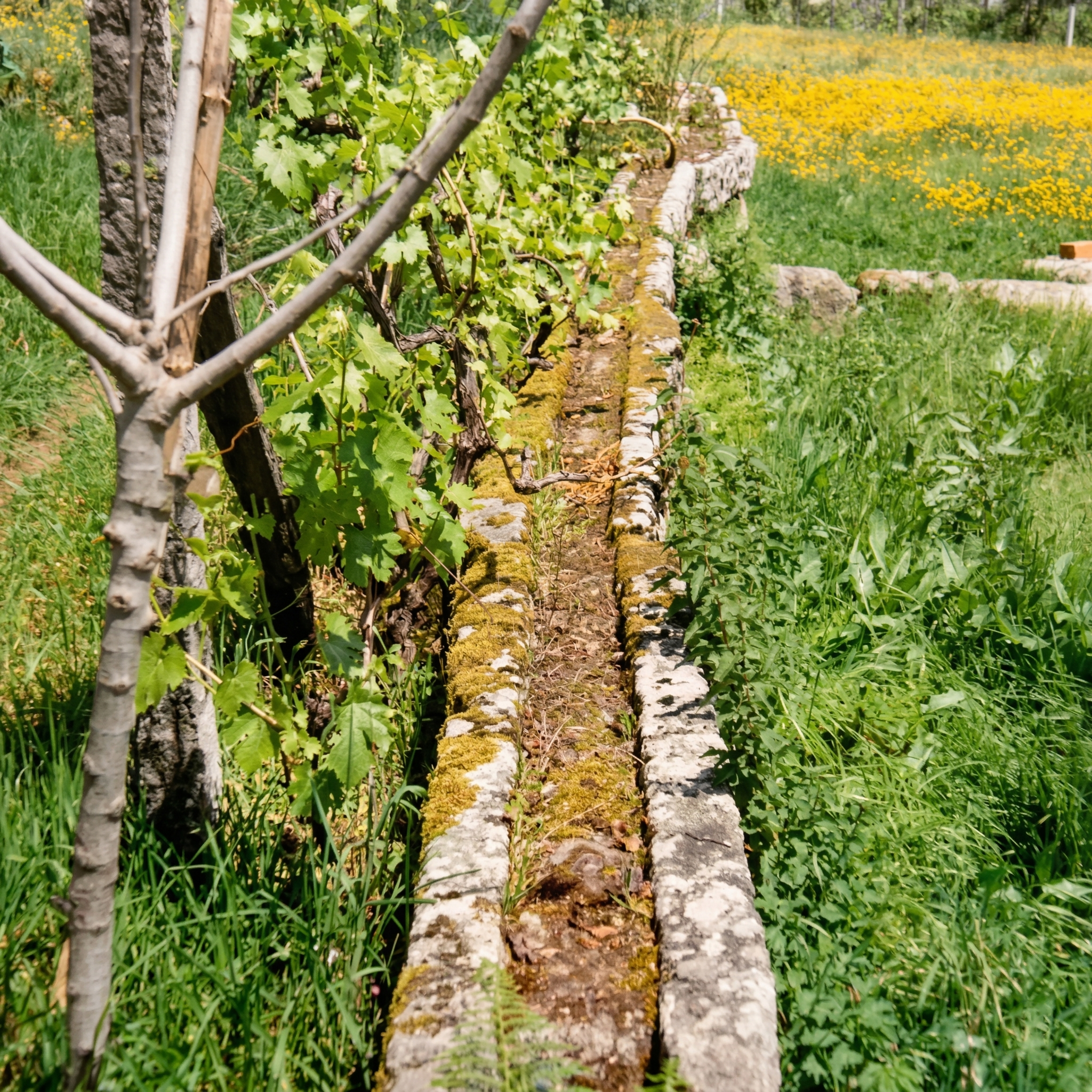 Celeiro junto à água