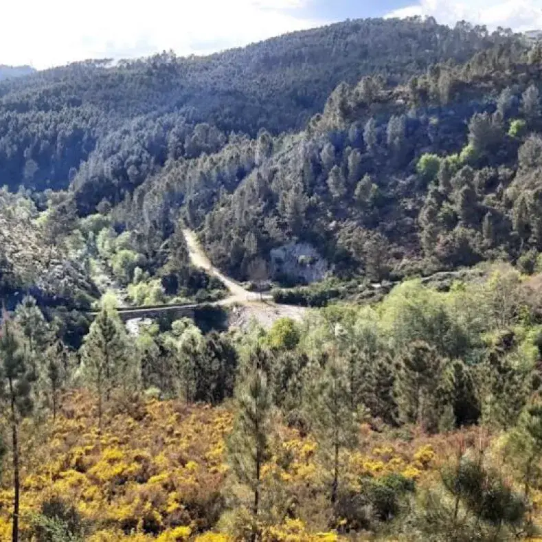 Vistas da Ponte Romana em Galifonge