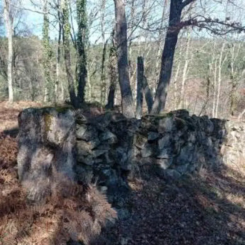 Muros de Pedra Seca (Galifonge)